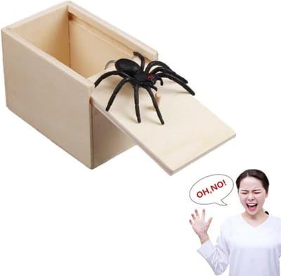 NEP SPIN IN DOOS | 1 STUK | FAKE SPIDER PRANK | LAAT JE VRIENDEN SCHRIKKEN | FOP JE FAMILIE EN COLLEGA'S | NEP SPIN | NEP INSECT IN DOOS