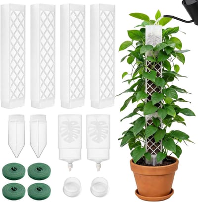 SnelShoppen - Moss Stick voor Monstera - Zelfwaterend Systeem - 4 Stuks - 24,5 cm Hoge Mosstokken - D-vormige Holle Design - Plant Steunen voor Binnen