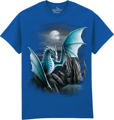 Draak Cameron Dragon The Coloured House T-shirt S