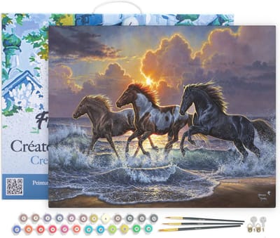 Figured'Art Schilderen op Nummer Volwassenen met lijst - Drie paarden en zee - Handwerk acrylverf Kit DIY Compleet - 40x50cm Canvas al ingelijst