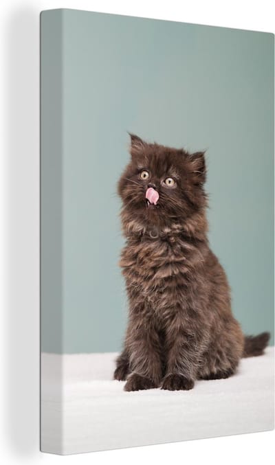 Canvas Schilderij Kitten - Perziche Kat - Tong - Meisjes - Kinderen - Jongens - Kids - 20x30 cm - Wanddecoratie