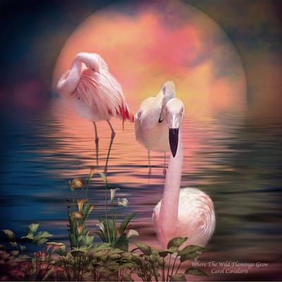 Diamond painting 40x50cm - flamingo's in water - ronde steentjes
