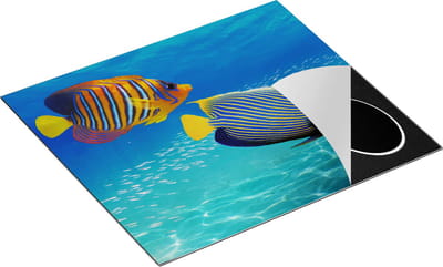 Chefcare Inductie Beschermer Twee Tropische Vissen in de Rode Zee - 60x50 cm - Afdekplaat Inductie - Kookplaat Beschermer - Inductie Mat