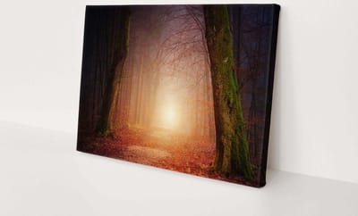 Bos  | 90 x 60 CM | Canvasdoek voor buiten | Schilderij | Outdoor | Tuindoek
