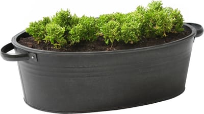 Mega Collections Teil/plantenpot/bloempot Farmer - ovaal - zink - zwart - L25 x D18 X H11 cm