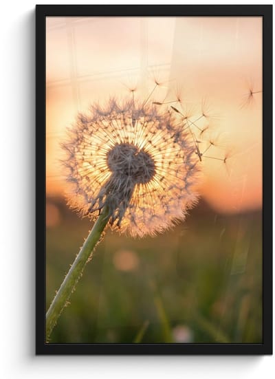 Poster in lijst - Fotolijst 40x60 cm - Posters - Paardenbloem - Zonsondergang - Veld - Posterlijst zwart - Decoratie - Wanddecoratie woonkamer - Muurdecoratie slaapkamer