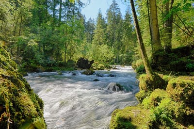 Fotobehang Oostenrijk Gollingen rivier 250 x 260 cm - € 175,--