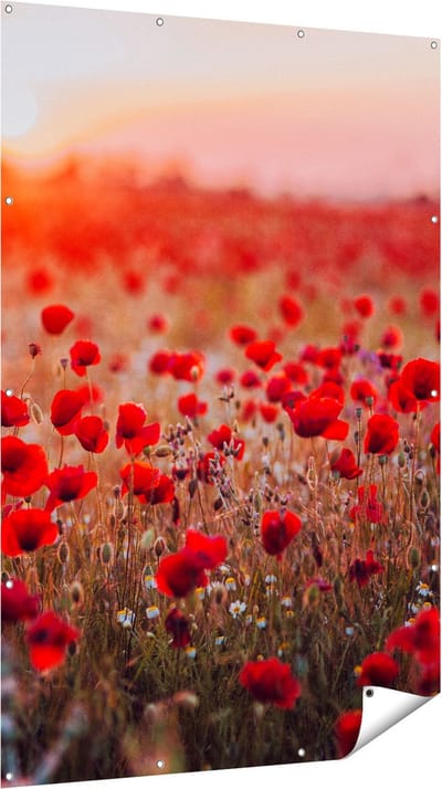 Gards Tuinposter Rode Klaprozen Bloemenveld Zonsondergang - 120x180 cm - Tuindoek - Tuindecoratie - Wanddecoratie buiten - Tuinschilderij