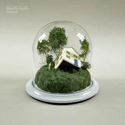 Fenne Lily - Big Picture (LP)