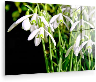 ® Glasschilderij 180x120 cm - Schilderij acrylglas - Studio shot van sneeuwklokjes - Foto op glas - Muurdecoratie woonkamer - Wanddecoratie slaapkamer - Schilderijen