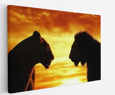 Saammp Canvas Schilderij - Leeuwen - Zonsondergang - Oranje - Natuur - Dieren - 45x30 - Foto op canvas - Wanddecoratie - muurdecoratie Woonkamer - Slaapkamer decoratie - Canvas Print