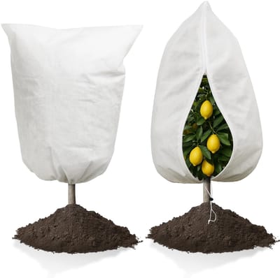 Dailygoods- Plantenfleece Vorstbescherming - Vorstbeschermingszakken - Tuinbouw Fleece - 2 Stuks - 70 Gram - 80 x 120 cm
