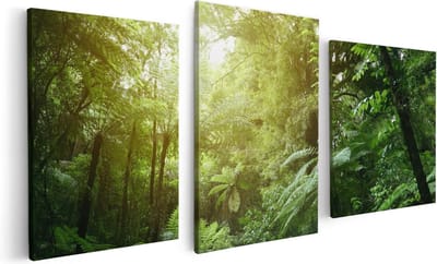 Artaza Canvas Schilderij Drieluik Tropische Jungle Met Zonneschijn - 120x60 - Foto Op Canvas - Canvas Print