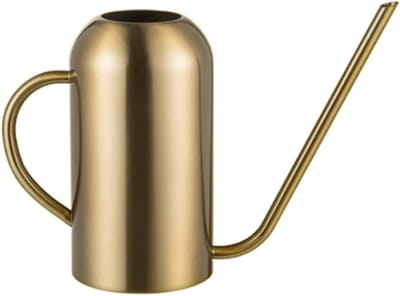 Metalen Gieter - Waterkoker Planten - Planten Water Geven - Lange Uitloop - 1500 ml - Goud