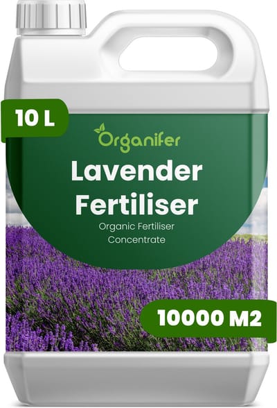 Vloeibare Meststof Voor Lavendel 10 L Voor 10000 M2 - Npk 2-1-8 - Bloeidichtheid - Geurintensiteit - Bloemkwaliteit - Droogtetolerant - Vochtregulatie - Bladkleur - Mediterrane Tuinen - Compacte Groei - Bloemaren - Organifer