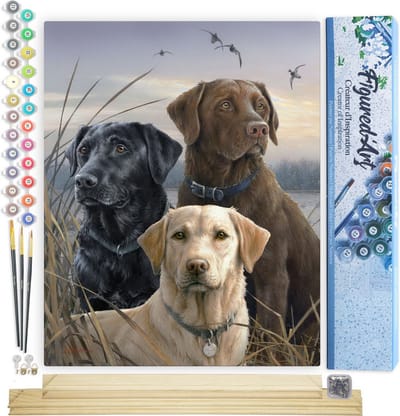 Figured'Art Schilderen op Nummer Volwassenen canvas Drie Labradors - Handwerk acrylverf Kit DIY Compleet - 40x50cm met DIY houten lijst