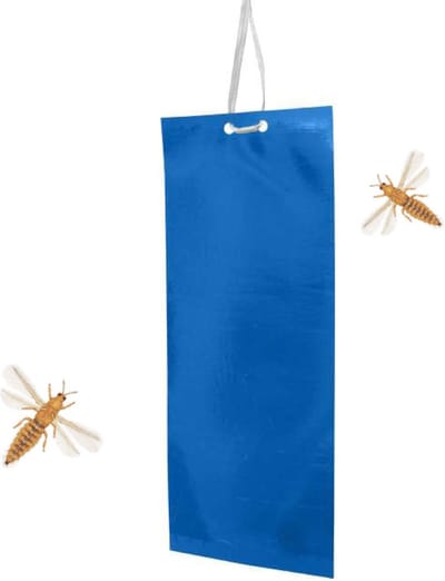 Swissinno Solutions Trips - Ongedierteval - Trips val - Kleefpapier - 10 stuks