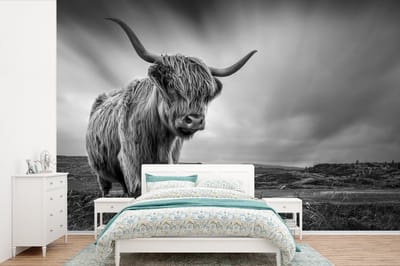 Behang - Fotobehang Koeien - Schotse hooglander - Natuur - Dieren - Zwart wit - Breedte 420 cm x hoogte 280 cm
