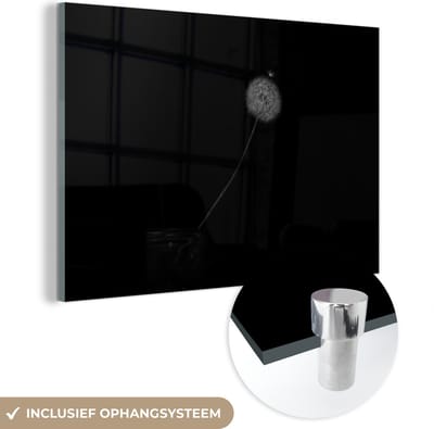 MuchoWow® Glasschilderij 150x100 cm - Schilderij acrylglas - Bloemen - Paardenbloem - Zaden - Zwart - Wit - Foto op glas - Schilderijen