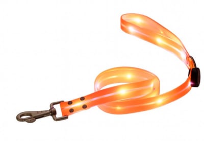 Rieba® Hondenriem Lichtgevend - USB Oplaadbaar - Multicolor LED - 120cm - PVC – Inclusief Oplaadkabel - Hoge Kwaliteit - Zeer Sterk - Lichtgevende Hondenlijn – Looplijn – Riem Hond - Voor Training en Wandelen – Fijn in de Hand - 3 cm Breed – Oranje
