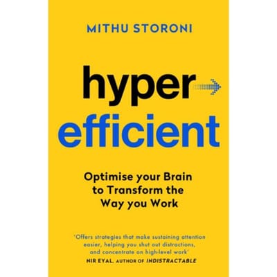 Hyperefficient - Yellow Kite - Mithu Storoni