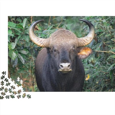 Houten Puzzel - Legpuzzel Spel - Ontspannen Thuis - Unieke Vormen - 75 x 50 cm - Niet gespecificeerd