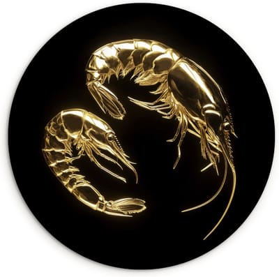 WallCircle® Wandcirkel 30x30 cm - Muurcirkel Garnalen - Zwart - Goud - Dieren - Muurdecoratie woonkamer - Wanddecoratie keuken - Kamer decoratie accessoires - Ronde schilderijen