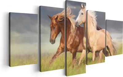 Artaza Canvas Schilderij Vijfluik Bruin En Wit Paard In De Wei - 100x50 - Foto Op Canvas - Canvas Print