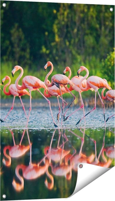 Gards Tuinposter Kudde Flamingo's op het Water - 60x90 cm - Tuindoek - Tuindecoratie - Wanddecoratie buiten - Tuinschilderij