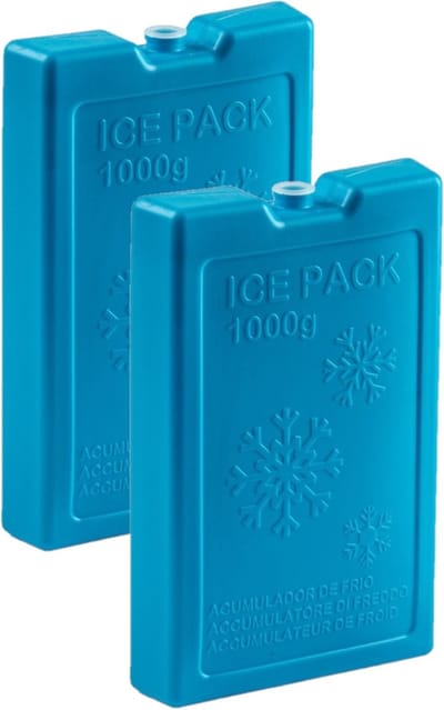 Plasticforte Koelelementen van 1000 gram - 2x stuks - blauw - 22 x 14.5 x 3.5 cm - voor koeltas en koelbox