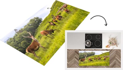 Keukenloper - Loper keuken - Kudde herten op Jura - 120x60 cm - Keukenloper vinyl