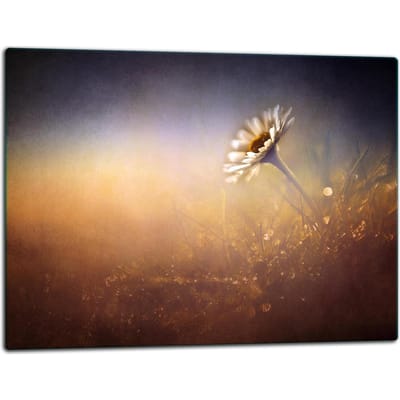 TMK ArtDeko Serie - Glazen Snijplank - 52x40cm - Vrolijke Kleuren - Keukenbescherming