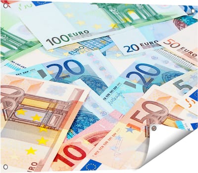 Gards Tuinposter Euro Geld Biljetten - Briefjes - 80x60 cm - Tuindoek - Tuindecoratie - Wanddecoratie buiten - Tuinschilderij