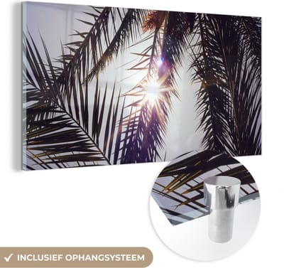 MuchoWow® Glasschilderij 40x20 cm - Schilderij acrylglas - Palmbladeren - Zon - Zomer - Foto op glas - Schilderijen