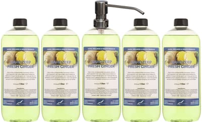 Handzeep Fresh Ginger 1 liter - set van 5 stuks - met gratis RVS zilverkleurige pomp - Voordeelverpakking