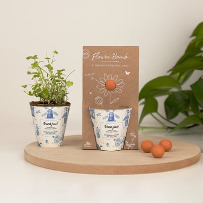 Blossombs Grow Kit – 1 Zaadbommetje – Voor jou! – Hollandse Mix – Cadeau Bloembommetje