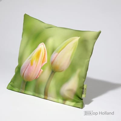 HUGS buitenkussen | tulpen | 40 x 40 | outdoor kussen | tuinkussen | terras aankleding | waterafstotend
