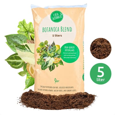 Casa Botanica - Professionele Potgrond - Kamerplanten - 5L - Kwekerskwaliteit voor Monstera, Philodendron, Anthurium en Alocasia