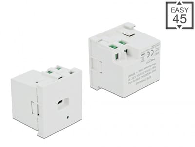Delock Easy 45 USB Charging Port Module 1 x USB Type-C™ PD