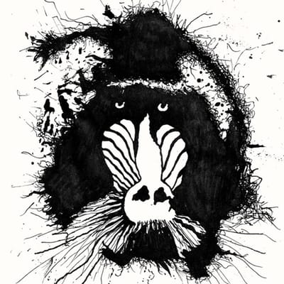 Feral Ohms - Feral Ohms (LP)
