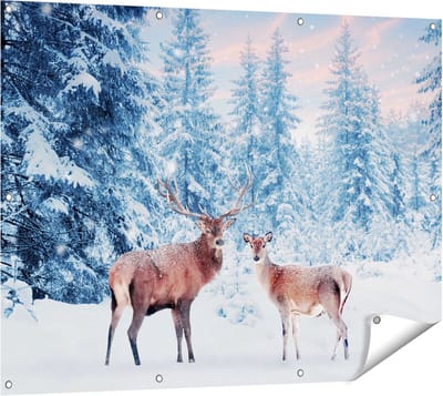Gards Tuinposter Twee Herten in het Bos met Sneeuw - 120x90 cm - Tuindoek - Tuindecoratie - Wanddecoratie buiten - Tuinschilderij