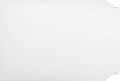 Bong enveloppen van massief karton, ft 250 x 353 mm, met stripsluiting en tearstrip, doos van 100 stuks