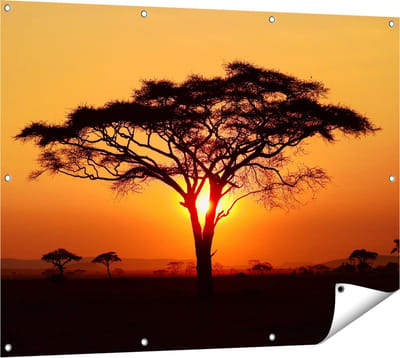 Gards Tuinposter Zonsondergang Achter een Savanne Boom - 120x90 cm - Tuindoek - Tuindecoratie - Wanddecoratie buiten - Tuinschilderij