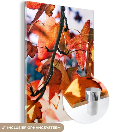 MuchoWow® Glasschilderij 30x40 cm - Schilderij acrylglas - Esdoorn - Bladeren - Landelijk - Herfst - Foto op glas - Schilderijen