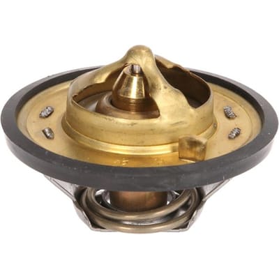 Thermostaat, koelvloeistof THERMOTEC D2JD003TT