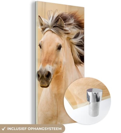 MuchoWow® Glasschilderij 60x120 cm - Schilderij acrylglas - Paarden - Dieren - Manen - Portret - Foto op glas - Schilderijen