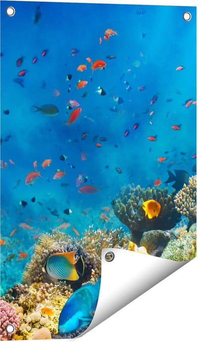Gards Tuinposter Onderwater Vissen met Koraal in de Zee - 40x60 cm - Tuindoek - Tuindecoratie - Wanddecoratie buiten - Tuinschilderij