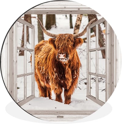 WallCircle - Wandcirkel - Muurcirkel - Schotse Hooglander - Sneeuw - Winter - Natuur - Dier - Doorkijk - Landelijk - Aluminium - Dibond - 60x60 cm - Binnen en Buiten