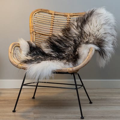 WOOOL Schapenvacht - IJslands Wit Zwart CURLY M (100x55cm) 100% Echt - Vloerkleed - Krul
