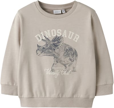 NAME IT - NMMFENTO LS NREG SWEAT UNB BOX - Jongens - Sweaters